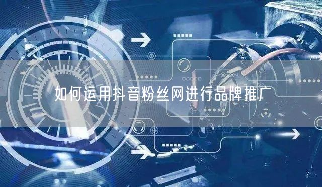 如何运用抖音粉丝网进行品牌推广
