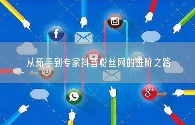从新手到专家抖音粉丝网的进阶之路