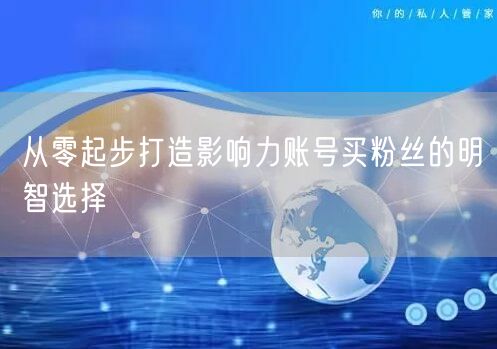 从零起步打造影响力账号买粉丝的明智选择