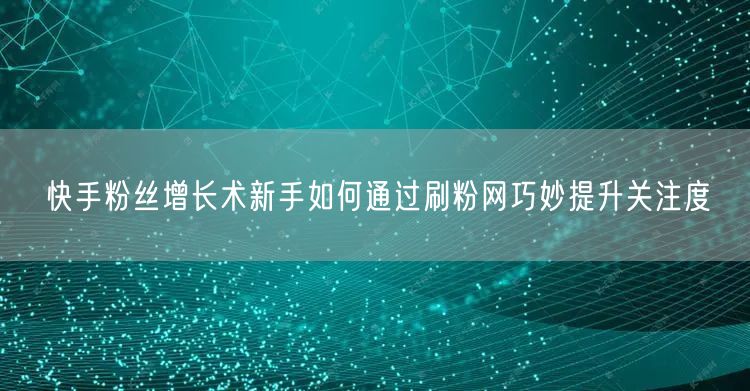 快手粉丝增长术新手如何通过刷粉网巧妙提升关注度