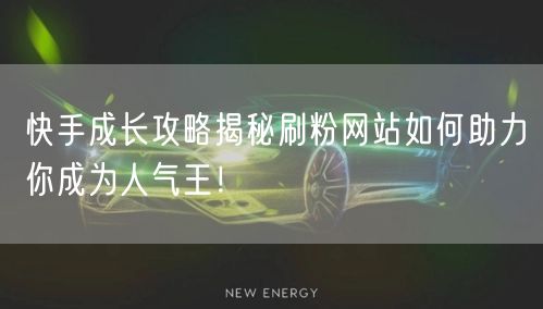 快手成长攻略揭秘刷粉网站如何助力你成为人气王！
