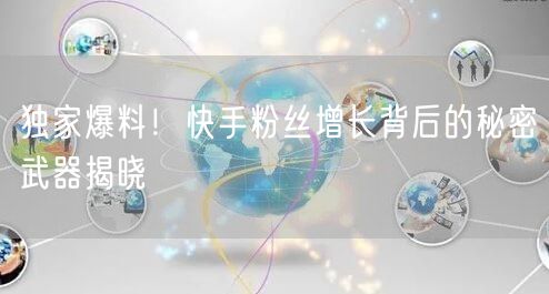 独家爆料！快手粉丝增长背后的秘密武器揭晓